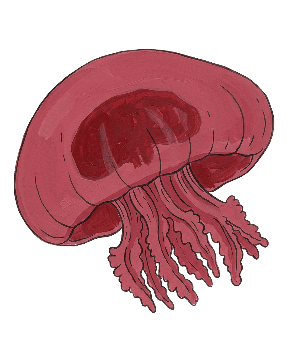 Painted plate of Bloodbelly Bell