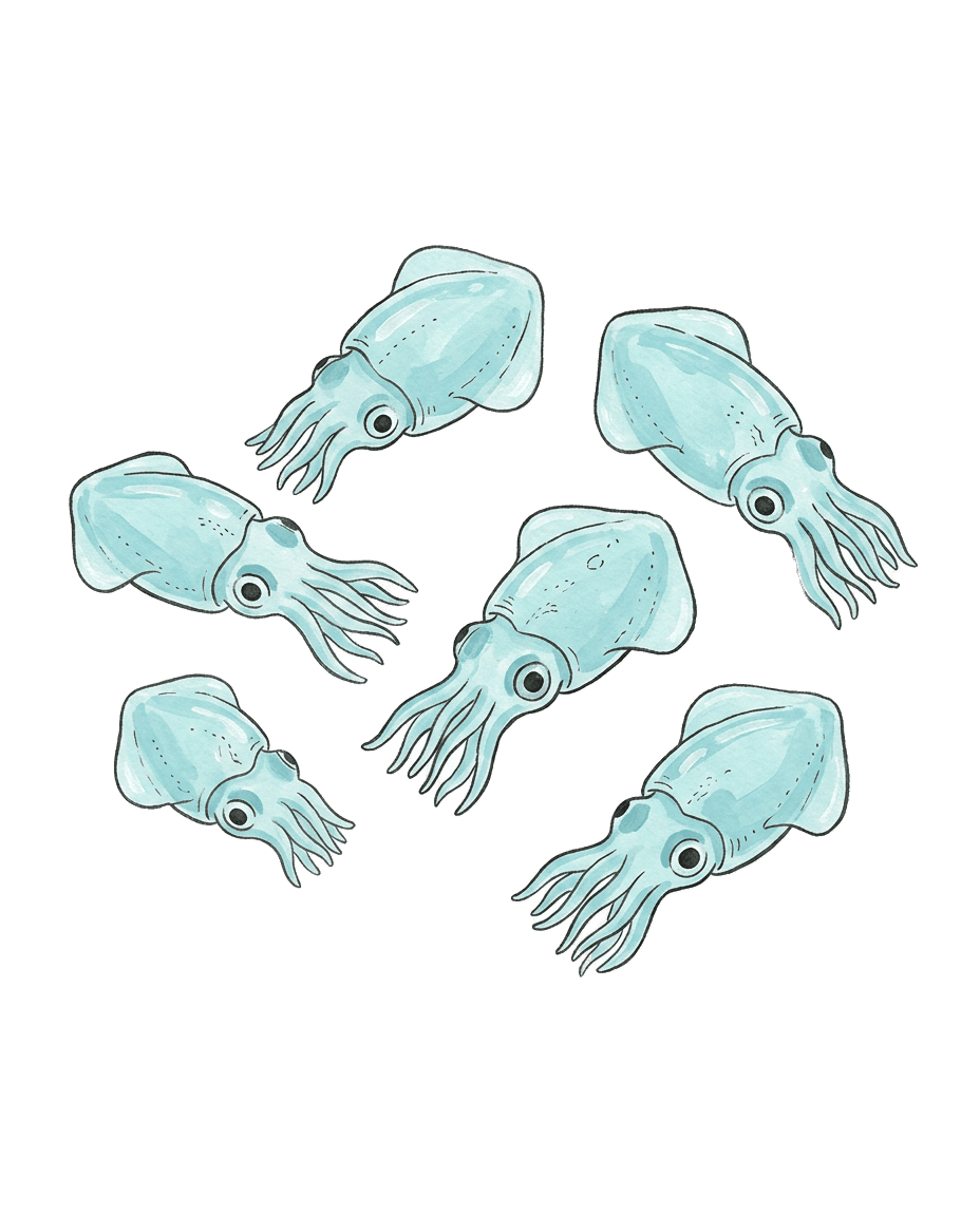 Painted plate of Glass Squid Nursery