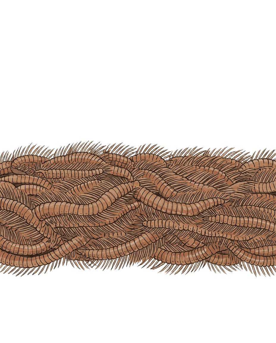 Painted plate of Hadal Bristle Mat