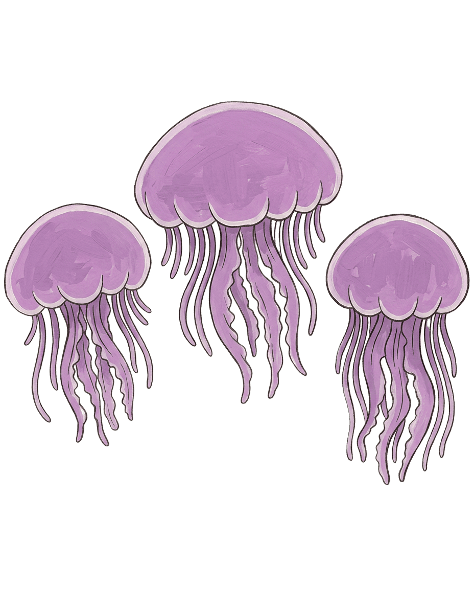 Painted plate of Helmet Jelly Cloud