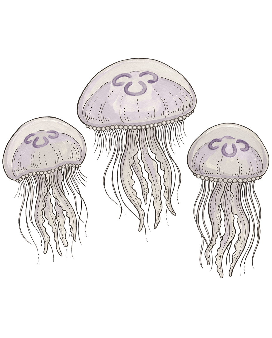 Painted plate of Moon Jelly Drift