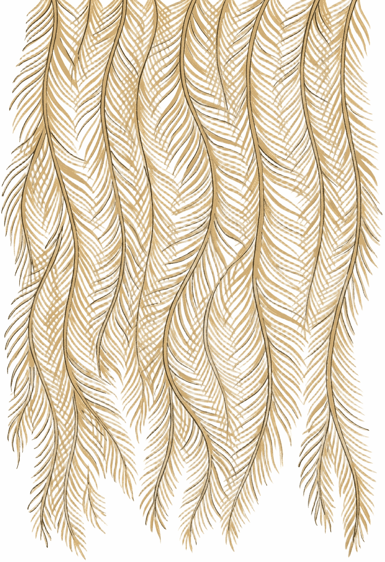 Painted plate of Stinging Hydroid Curtain